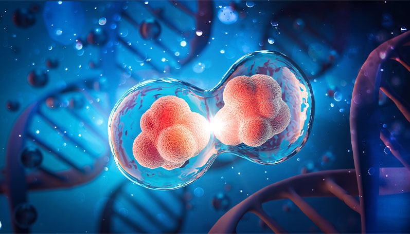 합성 mRNA 기술을 이용해 세포 내에서 백신을 타겟팅하는 확대 이미지